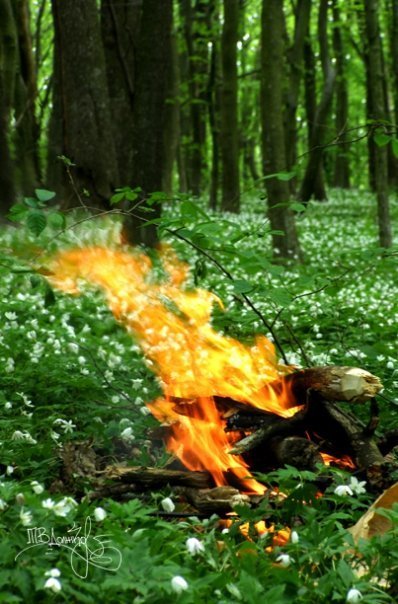 Фотовиставка Тетяни Должко